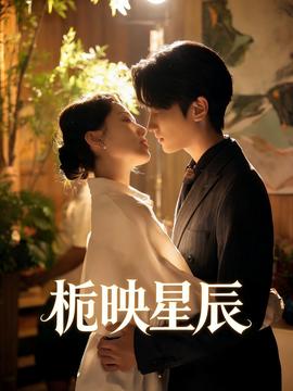 栀映星辰——一片冰心在玉壶电视剧